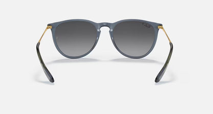 Erika Classic Polar