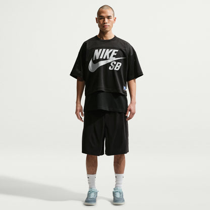 Nike SB Skate Shorts